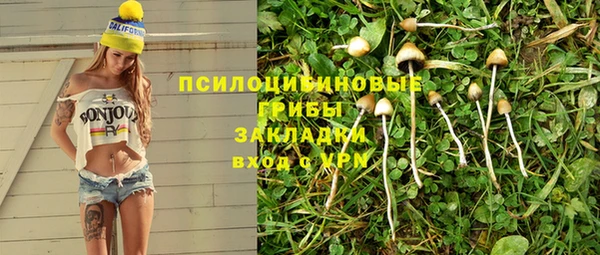 прущие грибы Михайловка