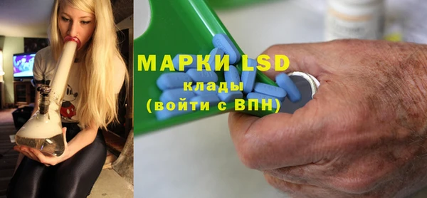 прущие грибы Михайловка