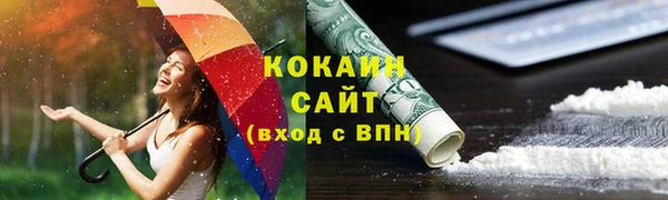 прущие грибы Михайловка