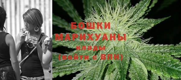 прущие грибы Михайловка