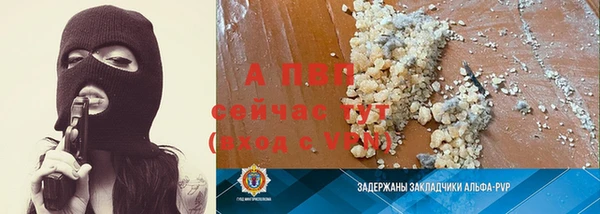прущие грибы Михайловка